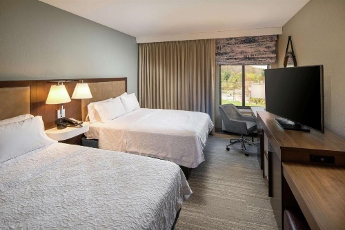 Hampton Inn By Hilton & Suites Binghamton/Vestal image 18