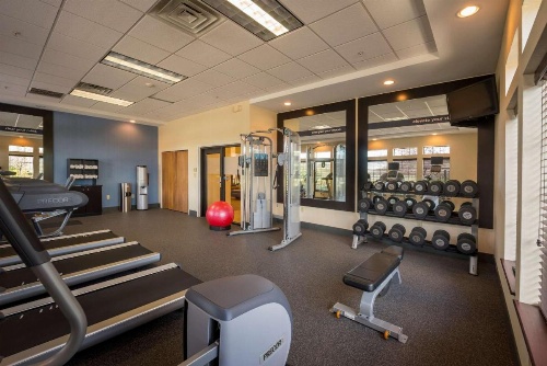 Hampton Inn By Hilton & Suites Binghamton/Vestal image 23