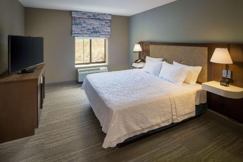 Hampton Inn By Hilton & Suites Binghamton/Vestal image 6