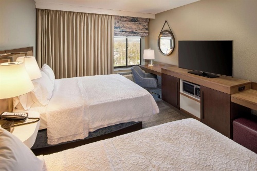 Hampton Inn By Hilton & Suites Binghamton/Vestal image 9